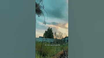 جمال اللغة العربي الفصحى 