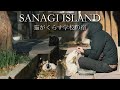 猫と暮らす学校の宿|海が見える宿での2泊3日｜静かな時間の記録「佐柳島」「ネコノシマホステル」