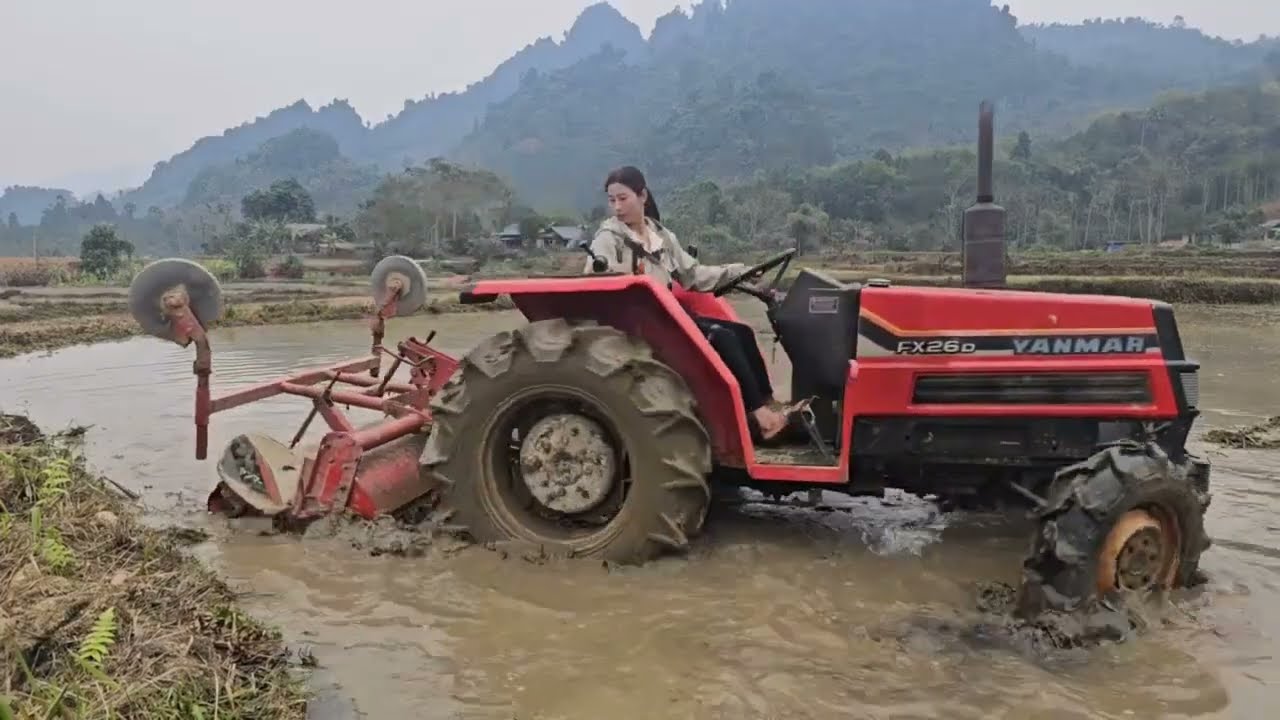 Continue the work of plowing the fields in preparation for the new planting season.