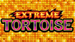 Live Play On Extreme Tortoise Slot Machine