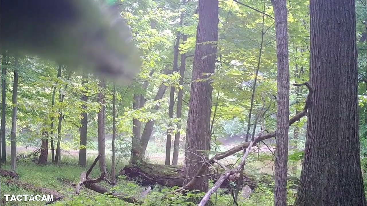 michigan small game hunting YouTube