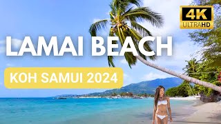 Tropical Paradise! Is Lamai Beach the most beautiful beach on Koh Samui? Beach Tour 2024 🇹🇭