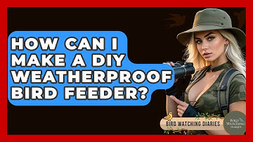 How Can I Make A DIY Weatherproof Bird Feeder? - Bird Watching Diaries