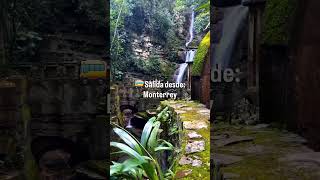 Nos vamos a Xilitla del 11 al 14 y 25 al 28 de junio Info.  comentario fijado 👇 #Xilitla #Viajes