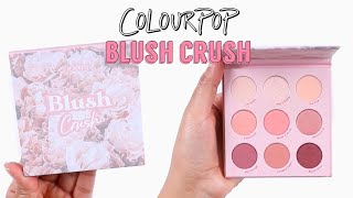 Coloupop Blush Crush Eyeshadow Palette | Review + Swatches