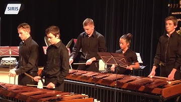 Muziekvereniging Somerens Lust krijgt erepenning: 