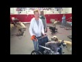 Sit Means Sit Dog Training Group Class Knoxville Tennessee Sit Means Sit Dog Training Group Class Knoxville Tennessee