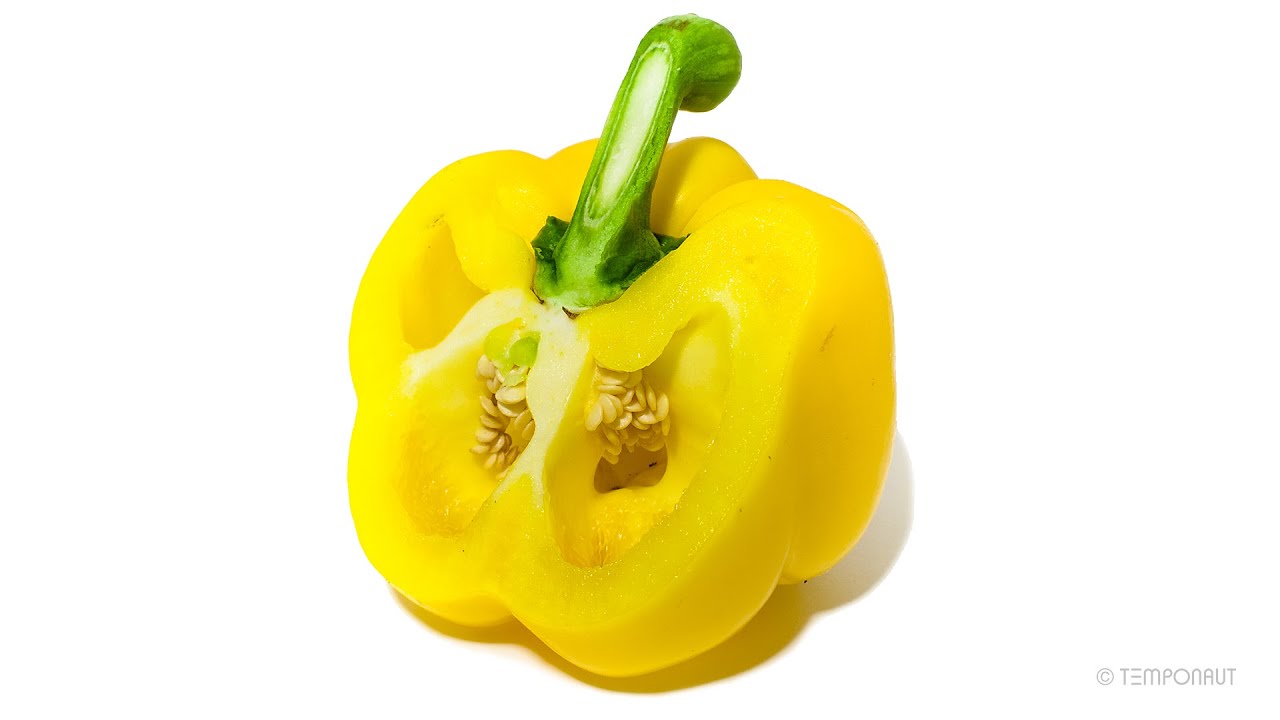 Paprika (Pepper) Timelapse YouTube