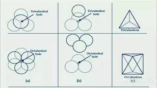 Difference Between tetrahedral void and octahedral void,unit-1,solid state,Hsc chemistry