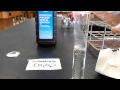 Enzyme Catalysis Experiment Quiz