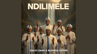 Ndilimele (Gwijo) (feat. Gwijo Gang)