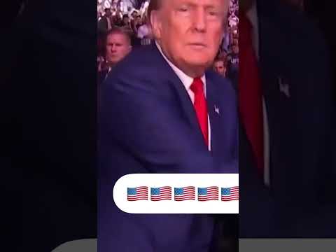 President Donald Trump