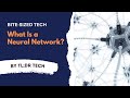TL;DR: What Is a Neural Network?
