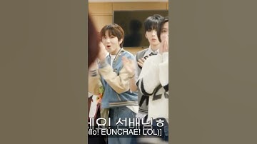 Not Eunchae closing the door after seeing Boy Next Door and &team 🤣🤣🤣 #kpop #leeserafim