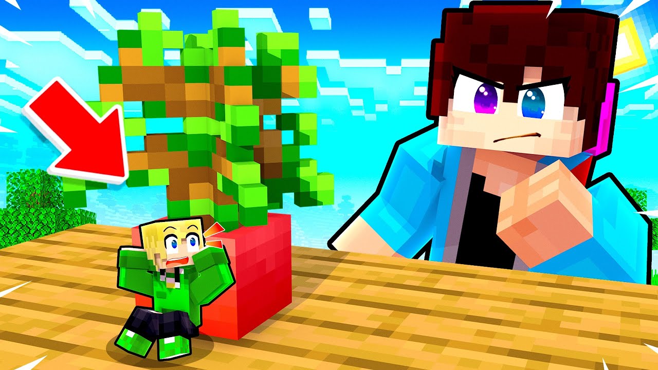 Wij Verstoppen Ons In het Klein In Minecraft!