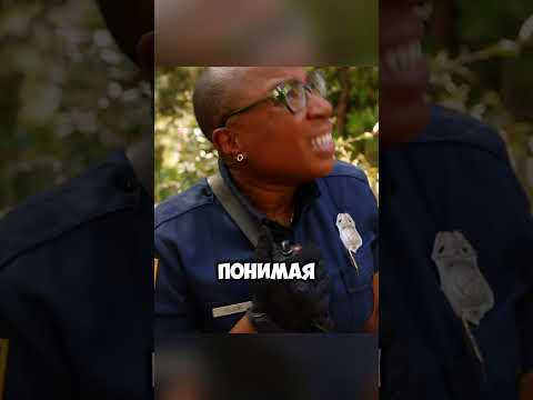 Позвал на свидание в самый неподходящий момент. #кино #киноактеры #фильм