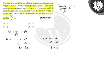 A proton and an alpha particle are separately projected in a region...