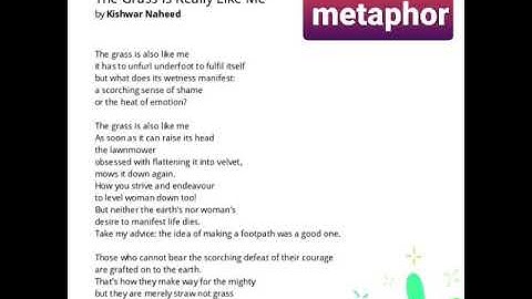 The grass is really like me