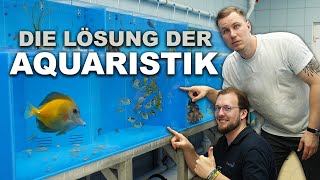 Ist das die Lösung der MEERWASSERAQUARISTIK? + Weltpremiere von TMC Programm bei Neytrop!