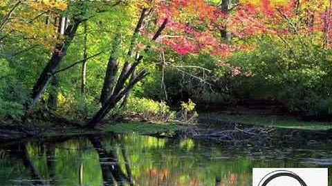 احمد العجمى / وَلاَ تَحْسَبَنَّ اللَّهَ غَافِلاً عَمَّا يَعْمَلُ الظَّالِمُونَ / تلاوة تريح القلوب