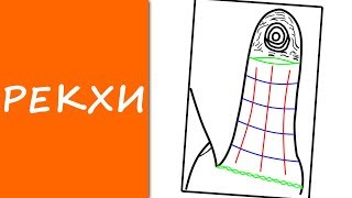РЕКХИ большого пальца (линии на большом пальце) / ХИРОМАНТИЯ / КЛАДЕЗЬ ХИРОМАНТИИ РЕКХИ большого пальца (линии на большом пальце) / ХИРОМАНТИЯ / КЛАДЕЗЬ ХИРОМАНТИИ