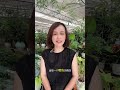 How to take care of newly bought plants #Tips for growing flowers at home#Potted