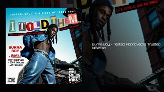 Burna Boy - Tested, Approved \& Trusted (432Hz)