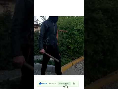 حمله واقعی سگ به انسان 