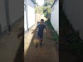 let's practice football soccer ⚽ passing and receiving on the wall
