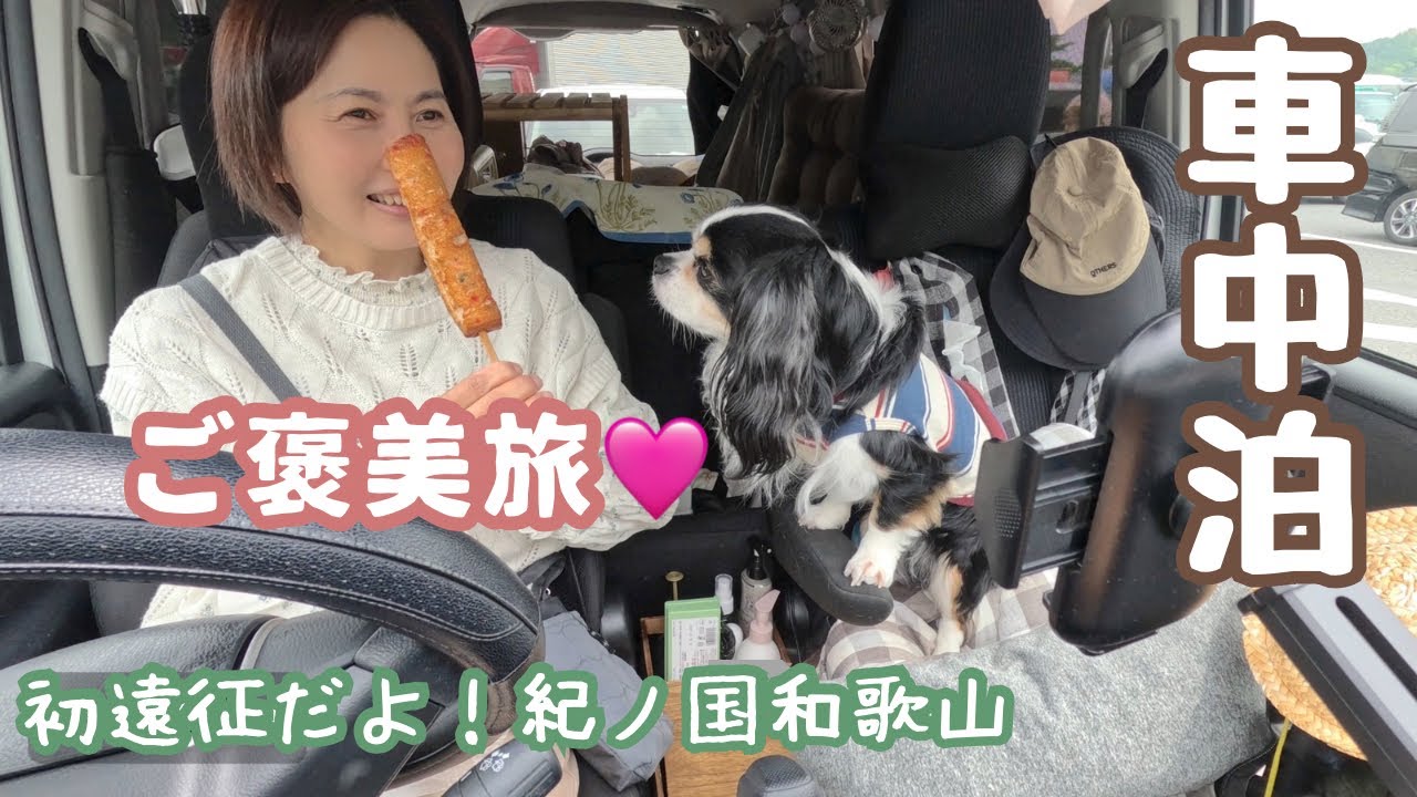 ご褒美旅に出た50代看護師と犬1匹、初遠征だよ！はじめての和歌山、片道470km初の遠出＆3泊4日。醤油発祥の地、湯浅町へ。