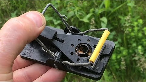 how to CATCH MICE with a “modern mouse trap” (they work different) snap-e