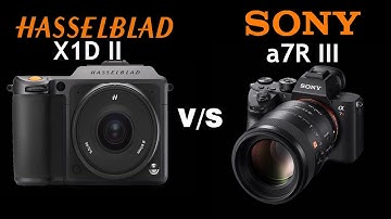 Hasselblad X1d II vs Sony a7RIII  | Quick Camera comparison