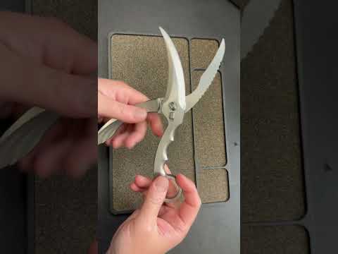 Coolest Scissors You Have Ever Seen!
