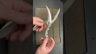 Coolest Scissors You Have Ever Seen!