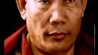 David Deveson Tv For Commercial Halls Mentholyptus