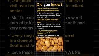 The First Food Plant To Ever Survive Space Soil