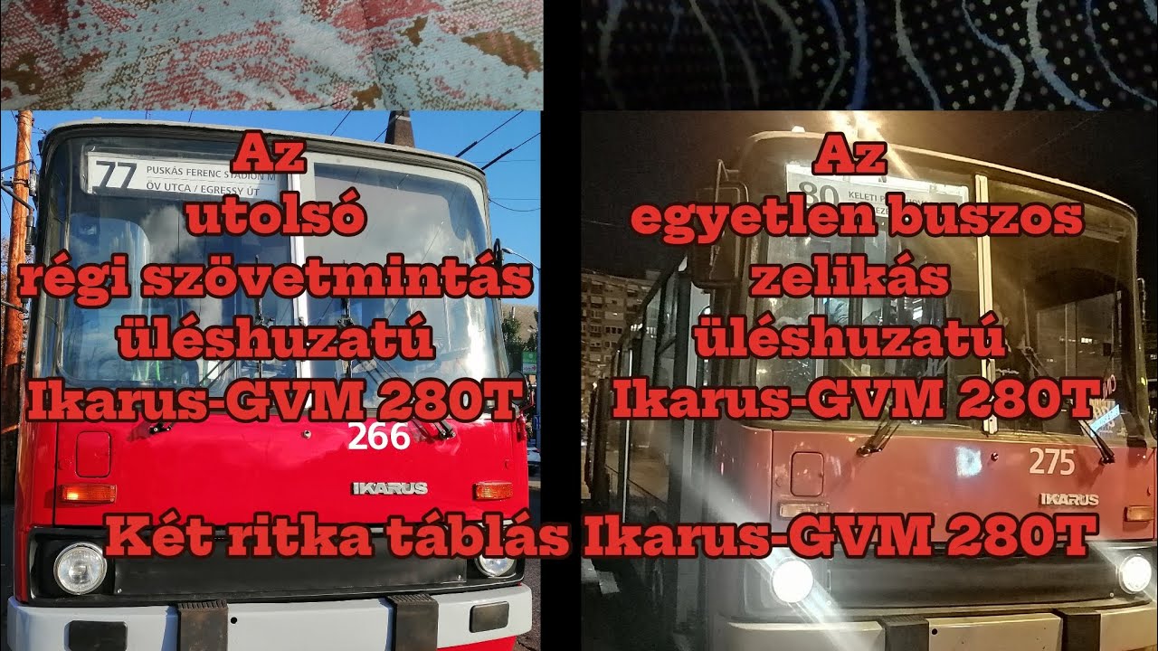Két elég ritka közforgalmi táblás (GVM) Ikarus 280T T0266 @77, T0275 @80
