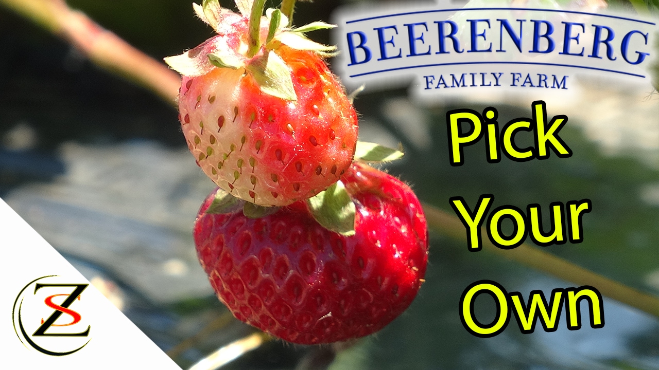 Beerenberg Farm Hahndrof South Australia