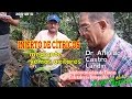 Injerto de cítricos mediante yemas axilares - Dr. Alfredo Castro Landin