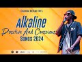 Alkaline Mix Clean Alkaline Conscious Positive Songs Calum Beam Intl 