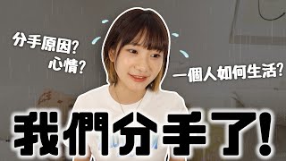 恢復單身💔生活的五大改變！分手後如何過一天？｜愛莉莎莎Alisasa