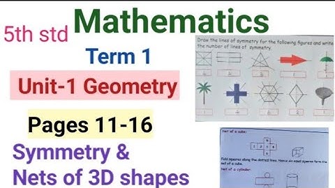 5th std Mathematics|Term 1 Unit-1 Geometry|Symmetry & Nets of 3D shapes|pages 11-16