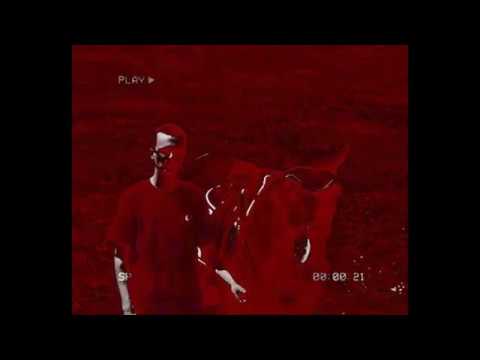 Youtube: Wallace Cleaver – Grand Bleu