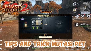 TIPS & TRICK MUTASI PET DI GAME DYNASTY LEGEND 2|Dynasty Legend 2 screenshot 4