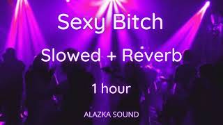 Sexy Bitch - David Guetta ft. Akon - Slowed + Reverb 1 hour