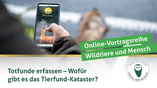 DJV-Online-Vortragsreihe Wildtiere und Mensch | Wofür gibt es das Tierfund-Kataster?