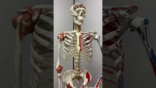 Tour Perfect Balance Physical Therapy