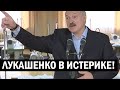 СРОЧНО!! Лукашенко в ИСТЕРИКЕ - дела "Бацьки" совсем плохи! Цифры рейтинга Президента УЖАСНЫ!