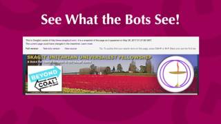What Google Bots See