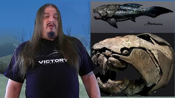 Systematic Classification of Life ep10 - Osteichthyes